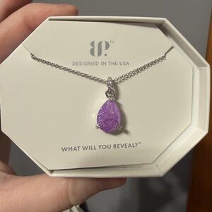 BP Silver Necklace with Vibrant Purple Stone